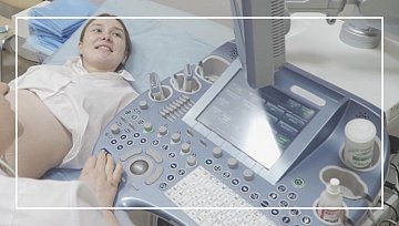 Ведение беременности с 12 по 40 неделю
